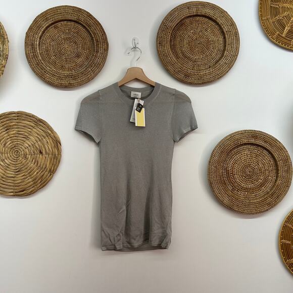Aritzia Tops - NEW Aritzia Wilfred Gray Silver Shimmer Sheer Knit Short Sleeve Tee TShirt Small